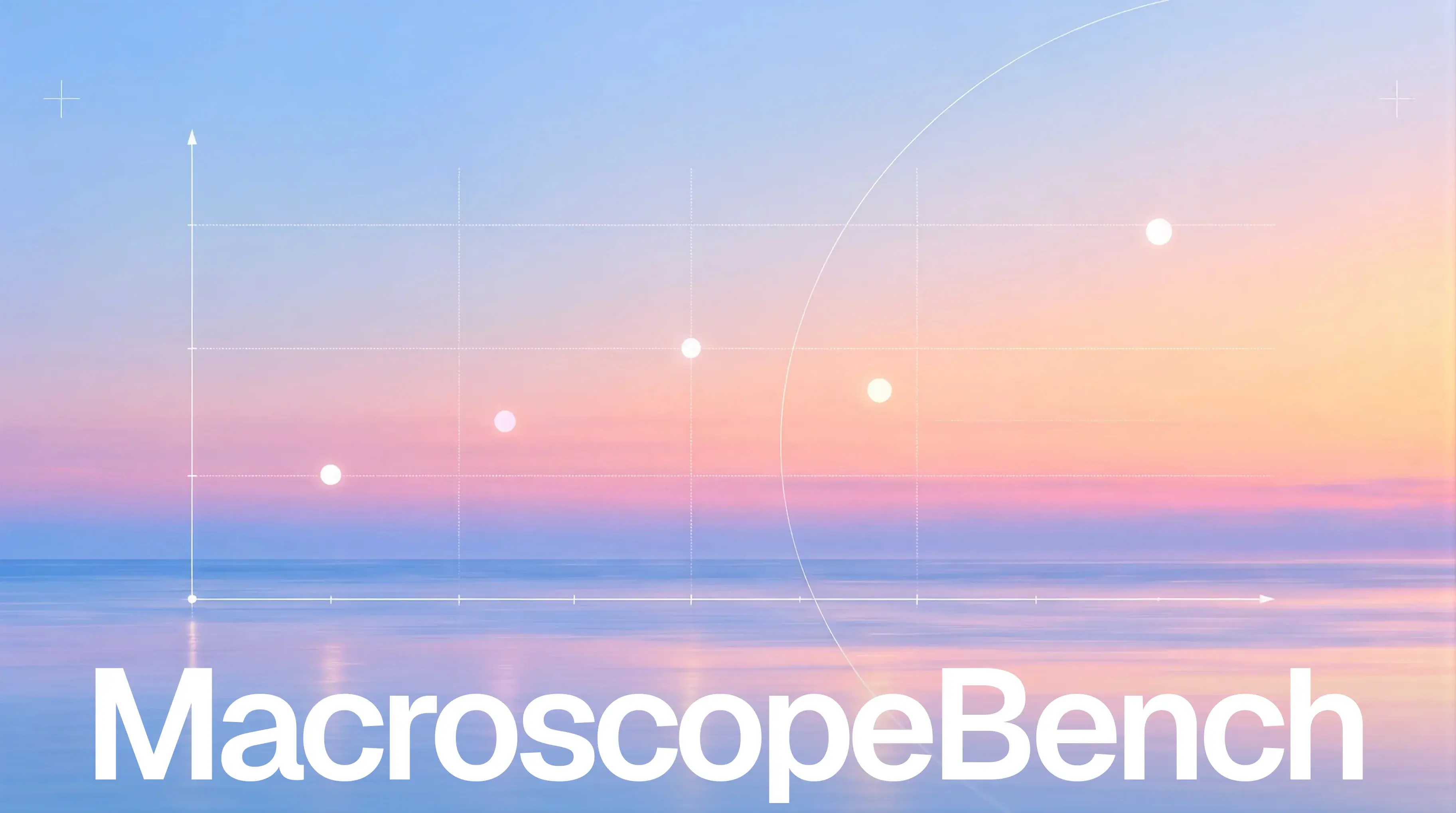 MacroscopeBench